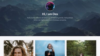 Dex - Modern Blog/Portfolio Blogger Theme