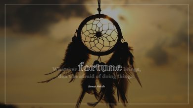 Fortune - Portfolio Tumblr Theme