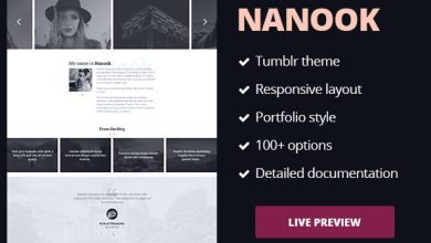 Nanook - Responsive Tumblr Portfolio Theme